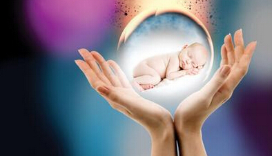 培养室